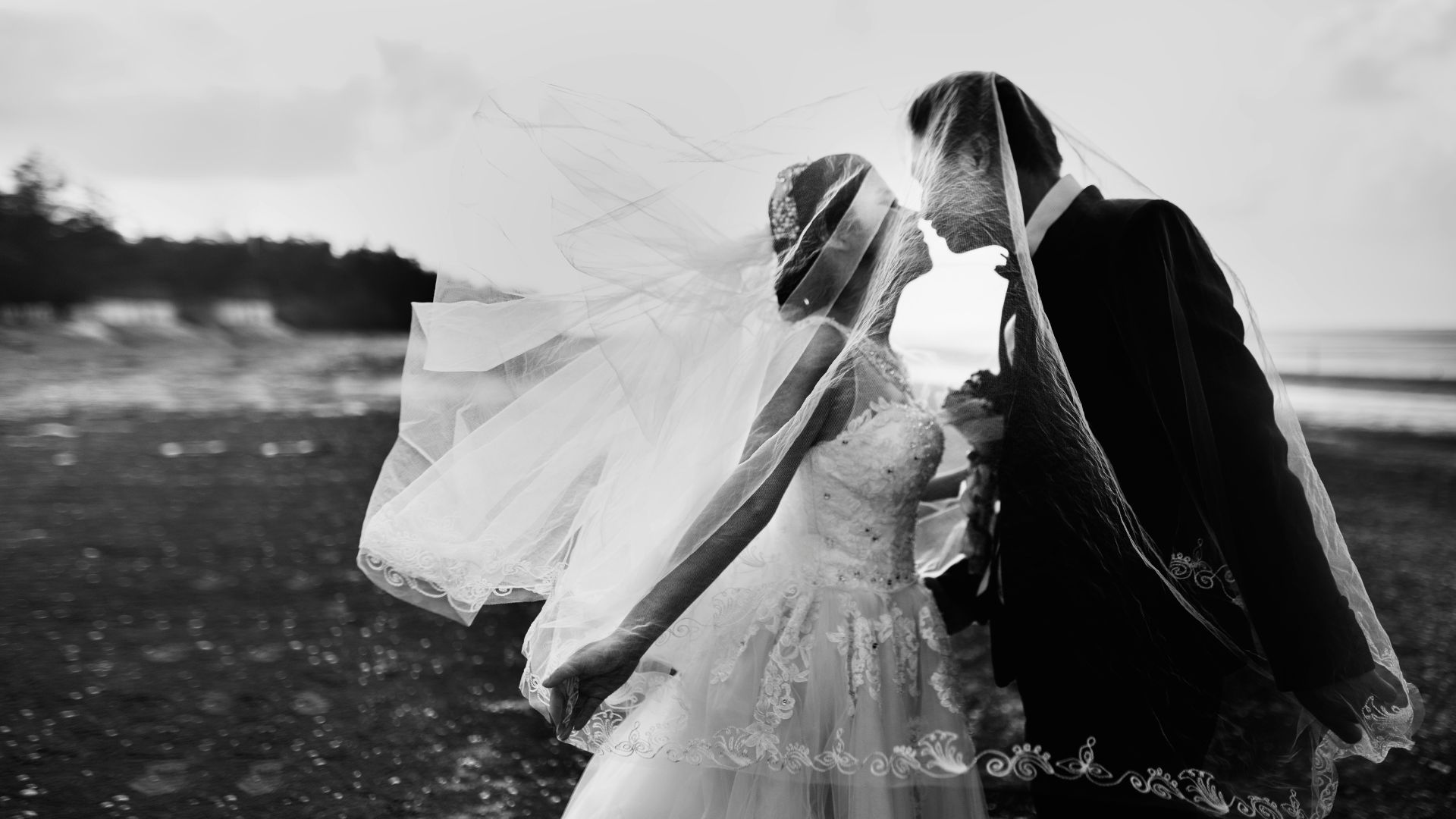 Wedding Industry